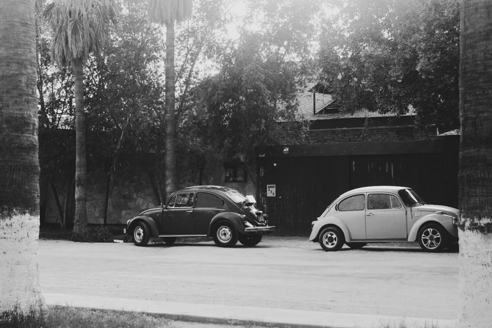 vintage street palmtrees oldschool cars buggy blackandwhite beetle 