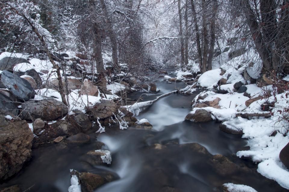 winter water trees stream snow rocks river outdoors nature forest cold 