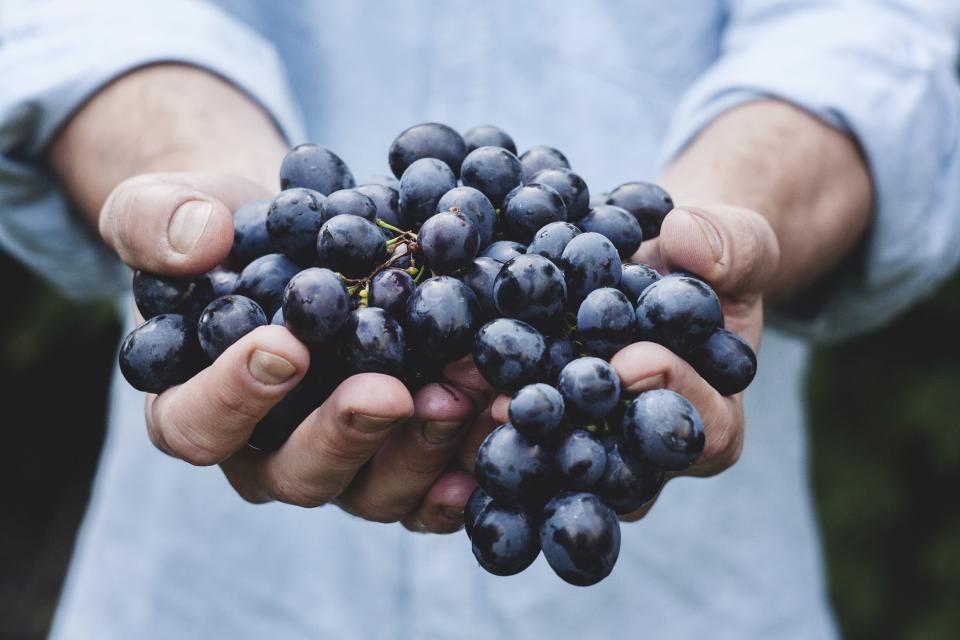Healthy hands fruits food blueberries 
