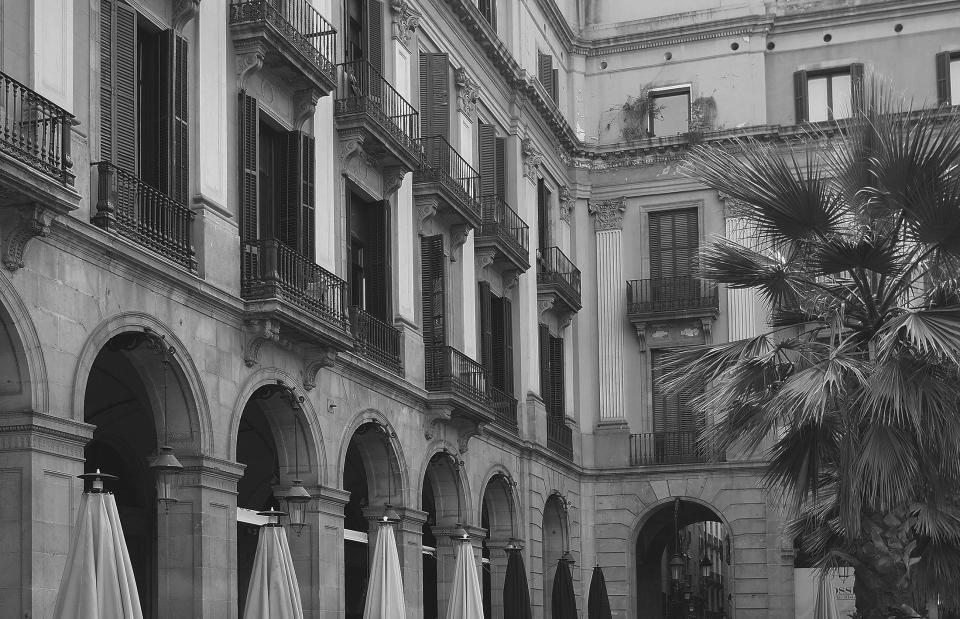 Windows palmtrees building blackandwhite balcony balconies architecture 