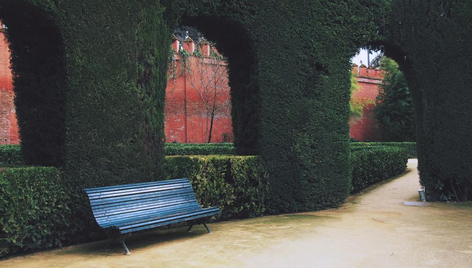 courtyard, bench, shrubs, path, walkway