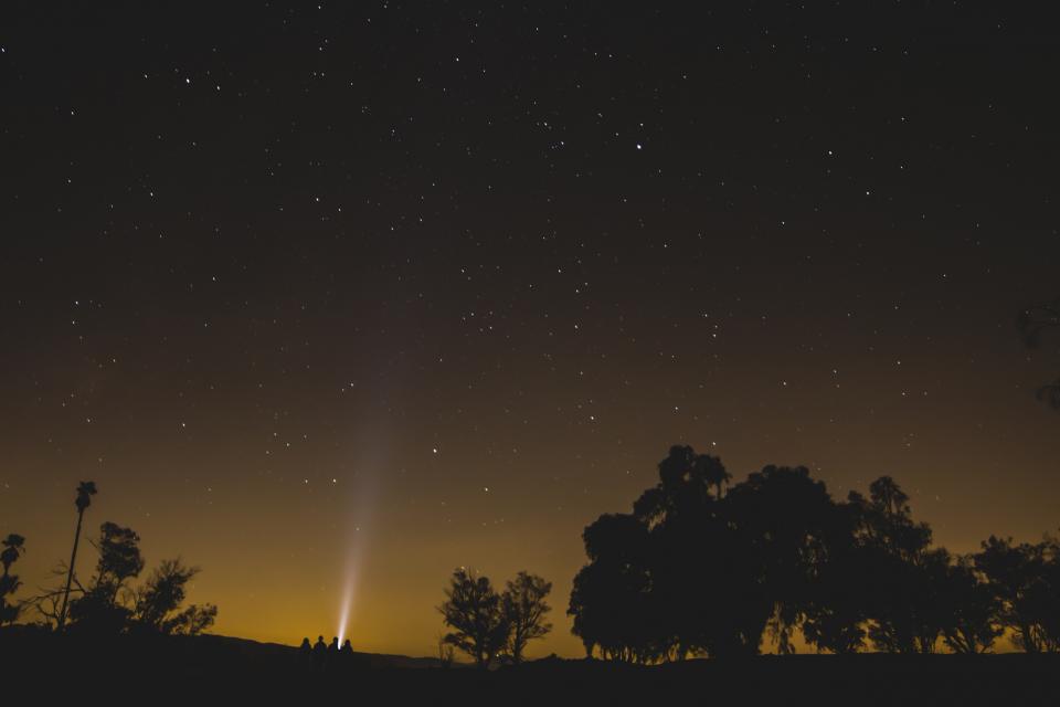 trees stars sky silhouette night flashlight evening dark 