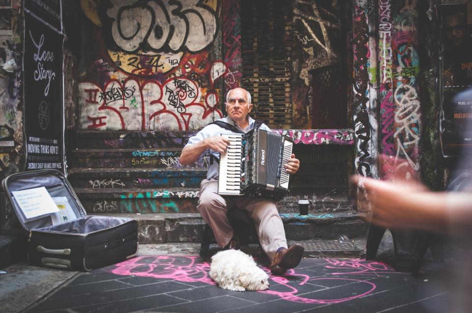 urban streetperformer pet musician music instrument graffiti dog city accordion 