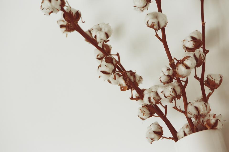 white vase flowers decor cotton 
