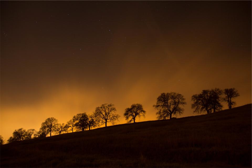 trees stars sky silhouette night dusk 