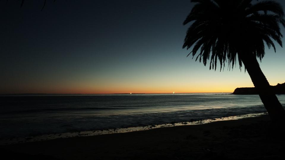 tropical sunset shore sea palmtree ocean night horizon evening dusk beach 