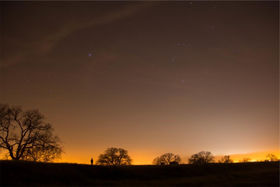trees stars sky silhouette night evening 