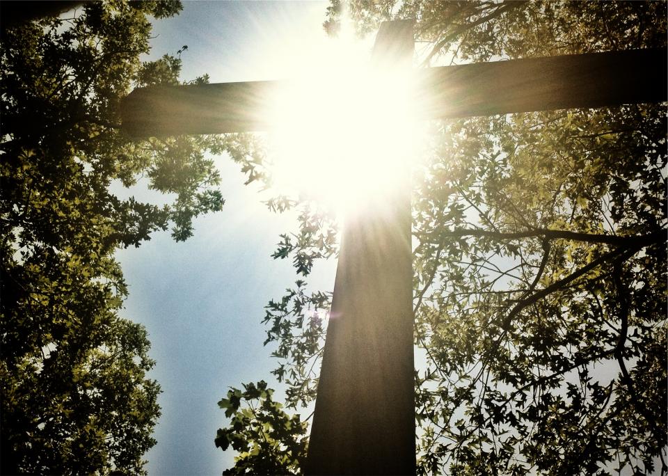 trees sunshine religion cross christian catholic 