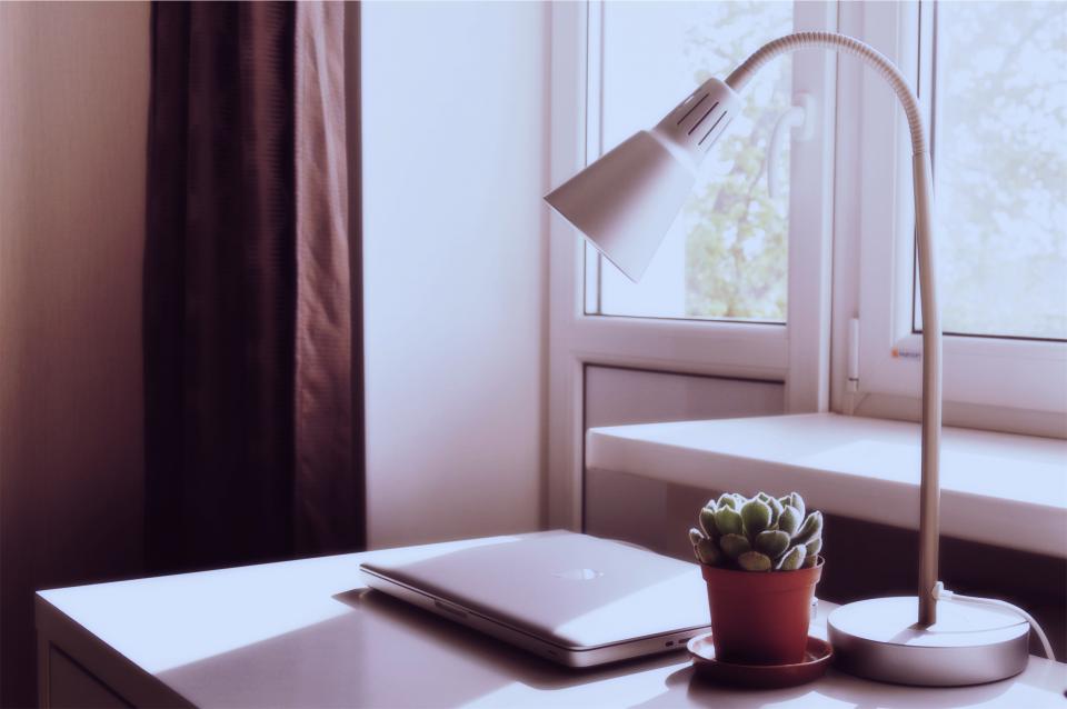 macbook, laptop, computer, desk, lamp, plant, pot, room, decor