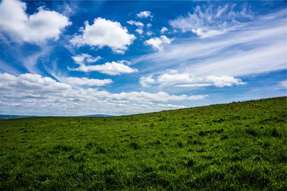 sky green grass field clouds blue 