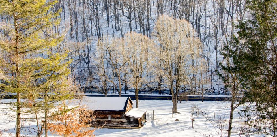 winter trees snow cabin 