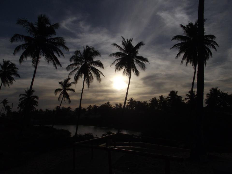 tropical sun sky palmtrees night evening dusk dark clouds beach 