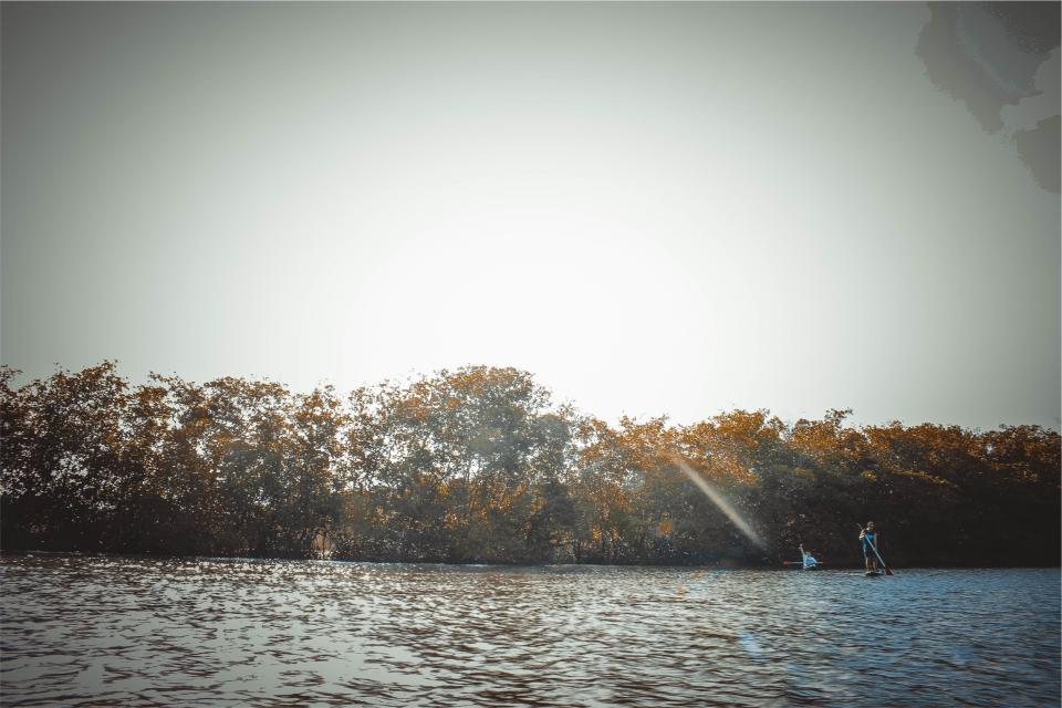 water trees sunshine sky people paddleboarding lake 