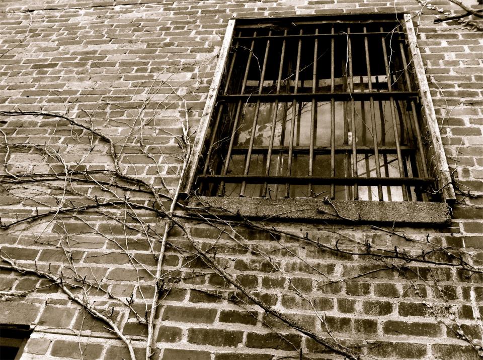 window wall vines bricks bars 