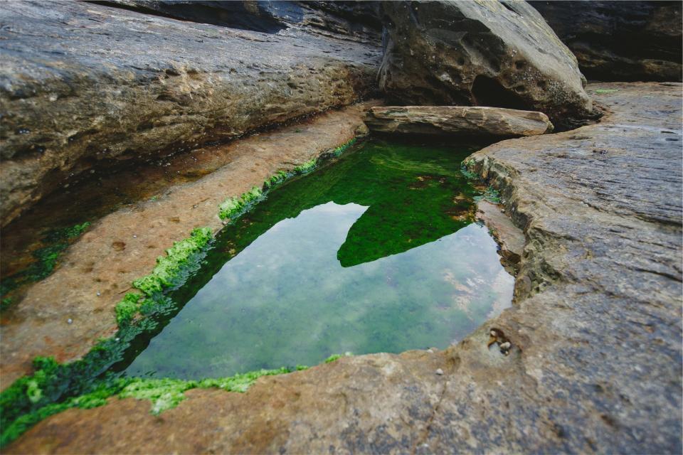 water rocks moss 