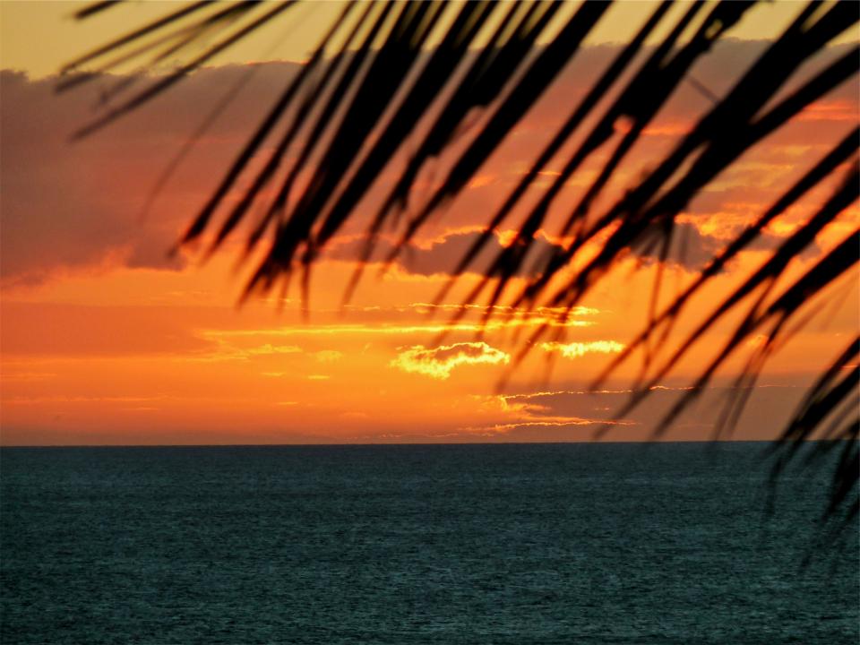 vacation tropical sunset sea ocean horizon dusk 