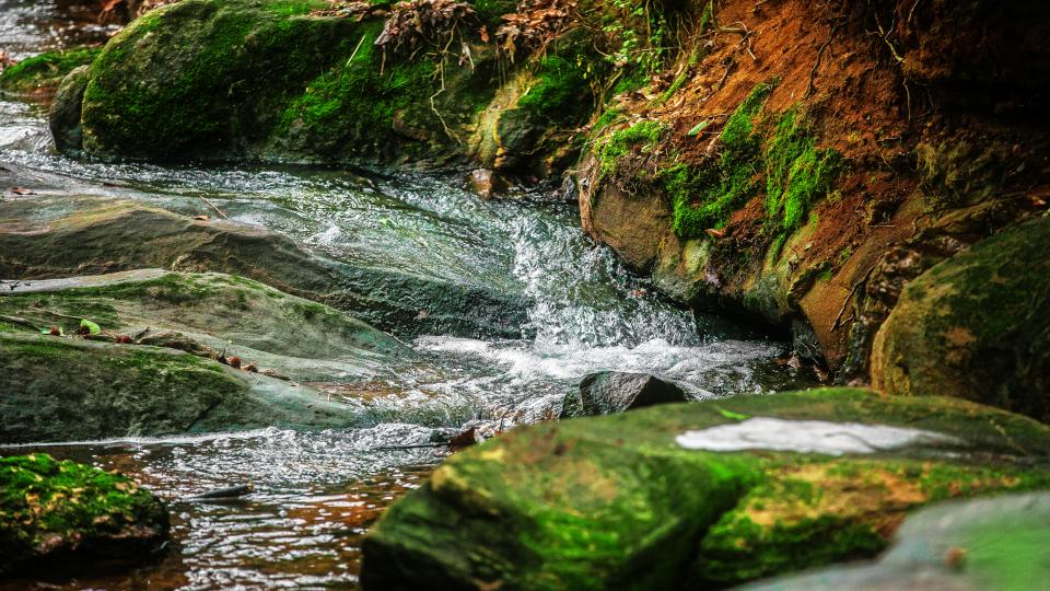 stream rocks river moss grass bubbling brook 
