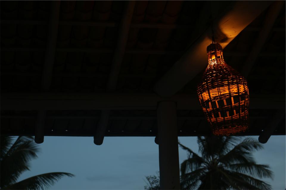 palmtrees night lantern evening 