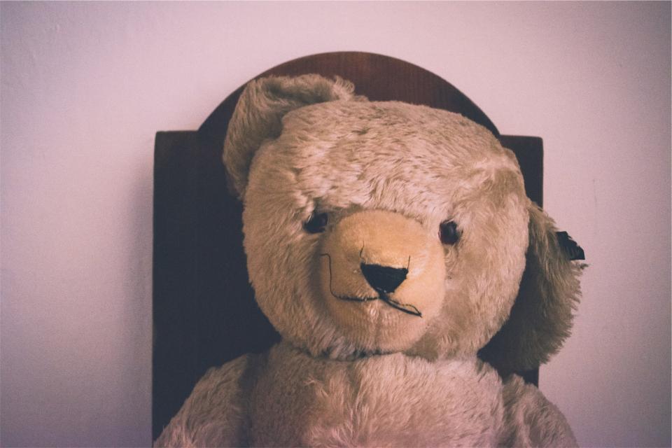 teddy bear, stuffed animal
