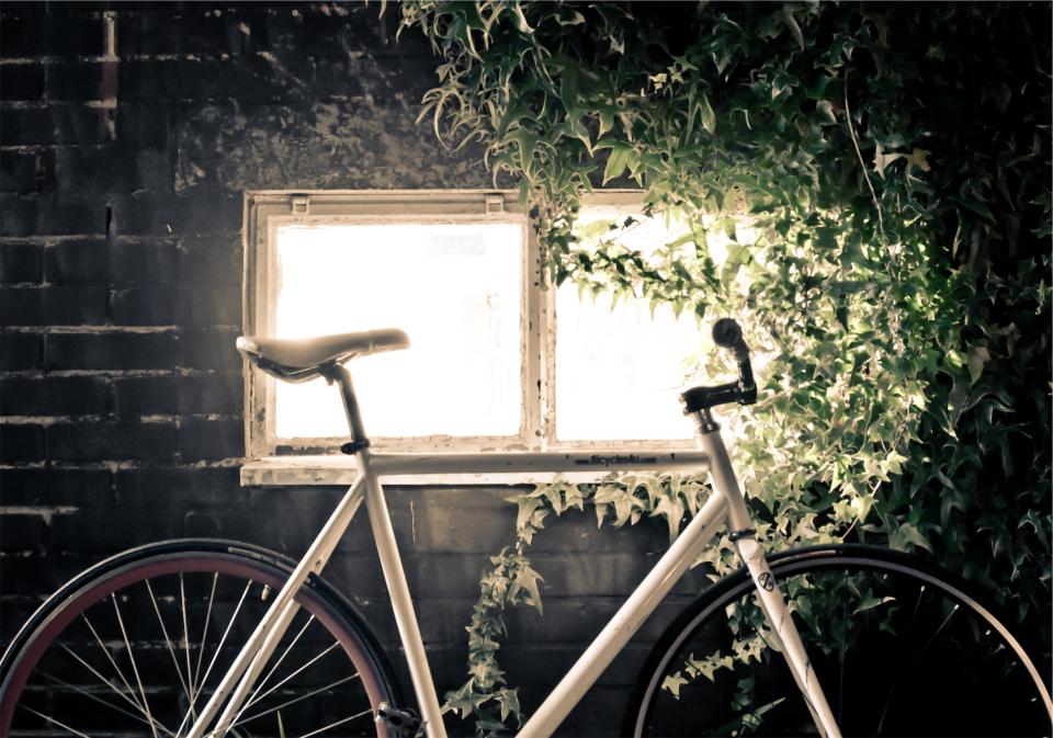 window vines leaves bricks bike bicycle 