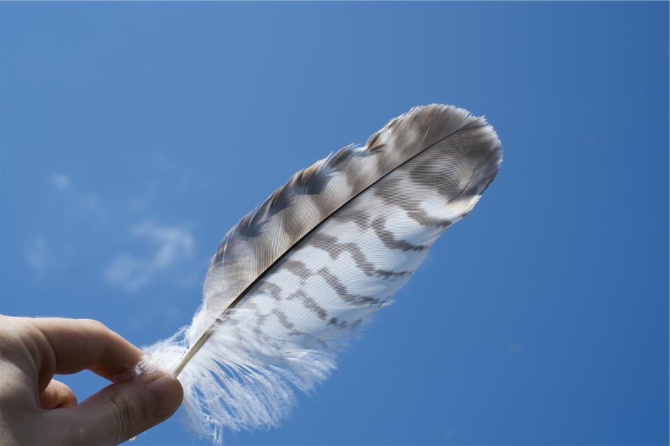sky feather blue 