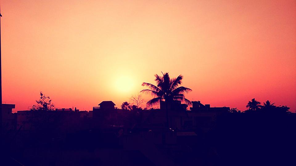 tropical sunset sky silhouette palmtrees dusk 