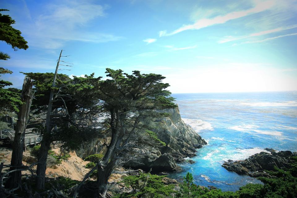 ocean, sea, waves, coast, blue, sky, trees, rocks, shore