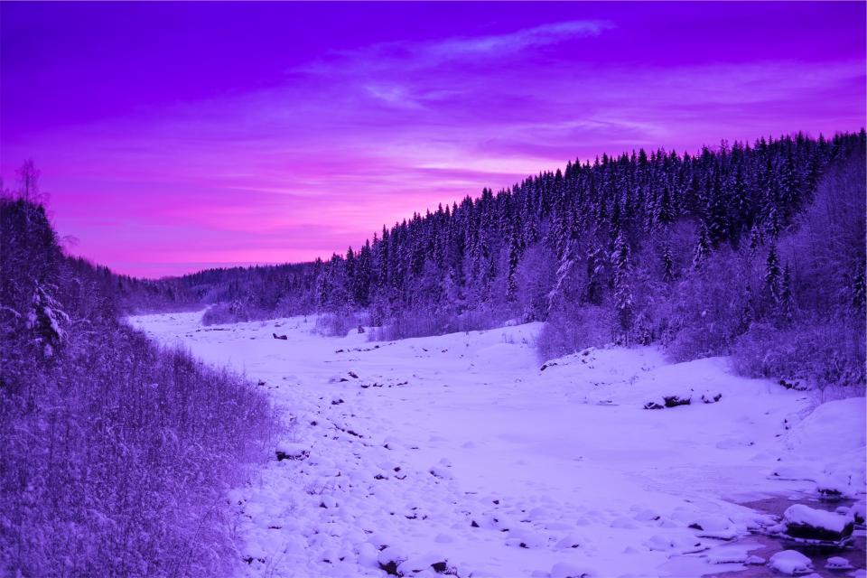 winter trees sunset snow sky purple forest dusk 