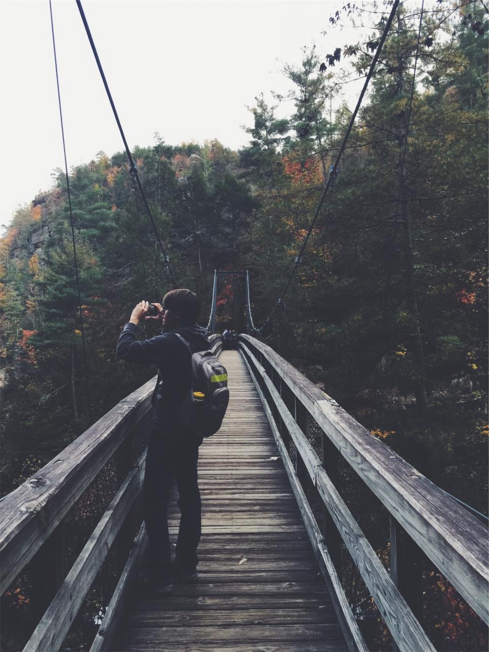 woods wood Trail photographer photograph nature knapsack hiking guy forest camera Bridge backpack 