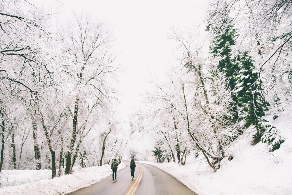 winter walking trees snow rural road people pavement knapsack frozen freezing cold backpack 
