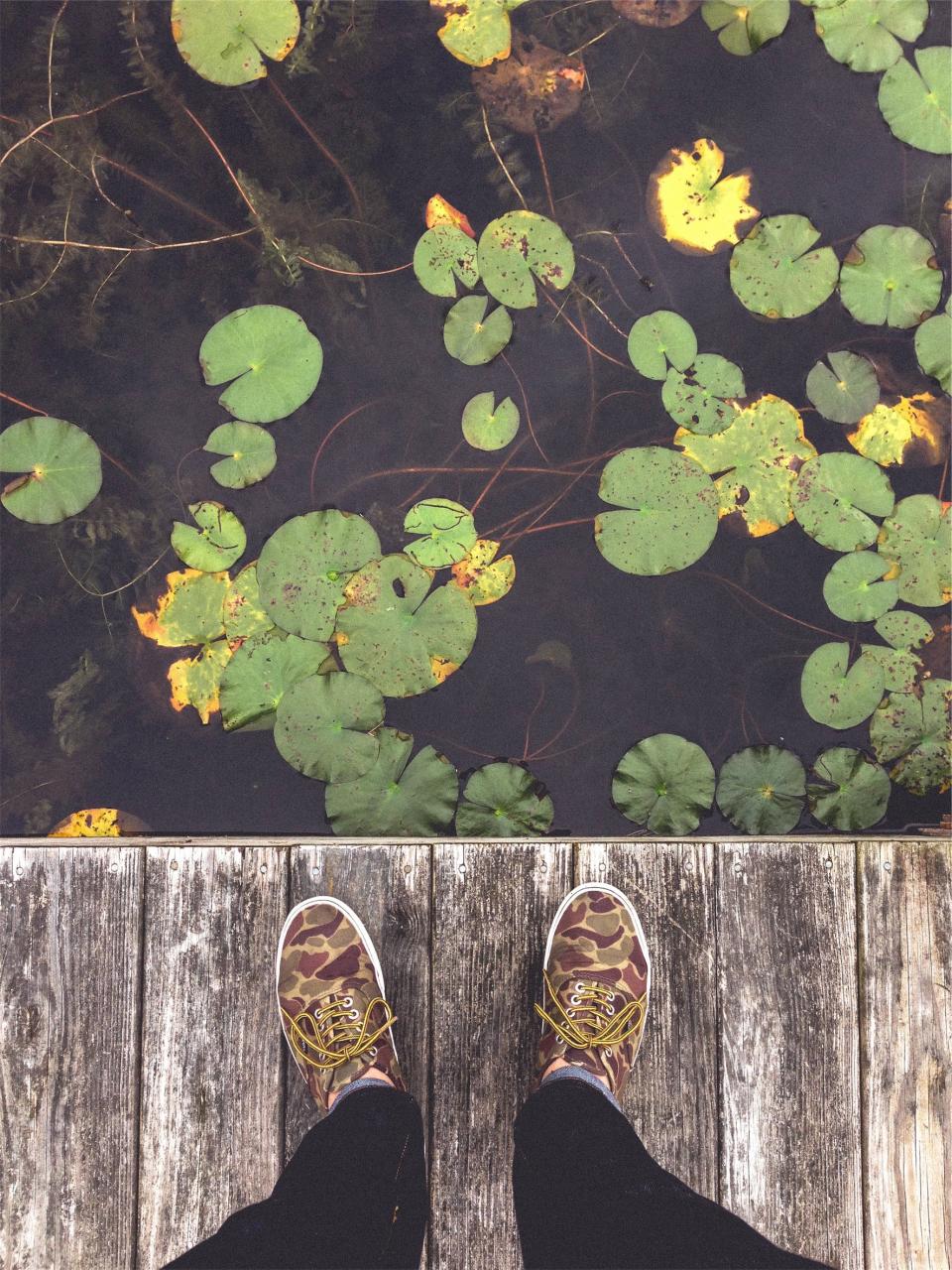 water shoes lilypads lake laces dock 
