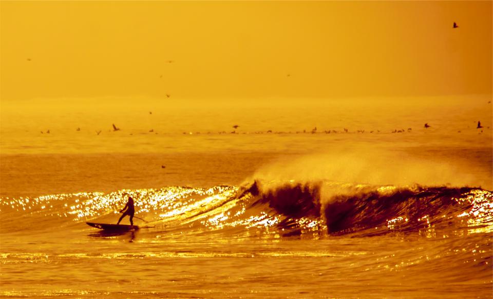 waves water surging surfer sunset sports sea ocean birds 