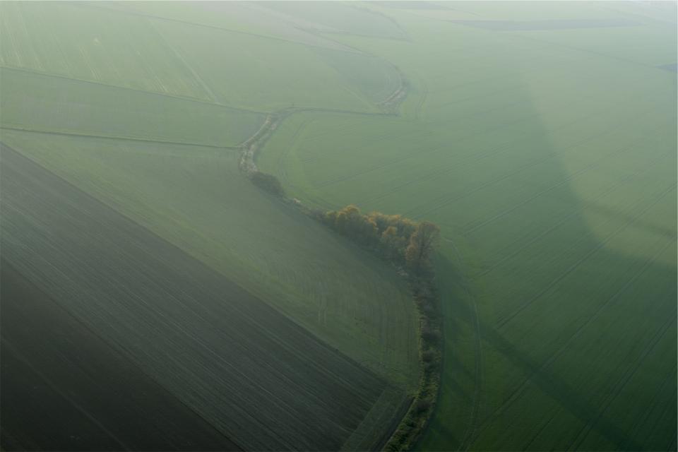 landscape, green, grass, fields, trees, nature