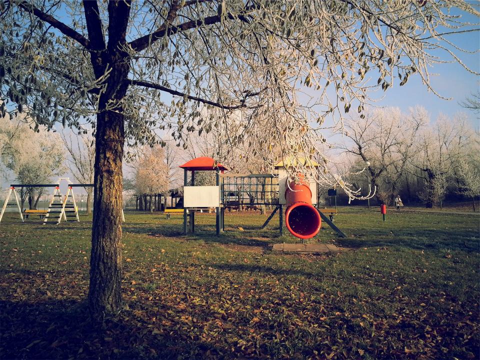 trees swings slide playstructure park grass fun 