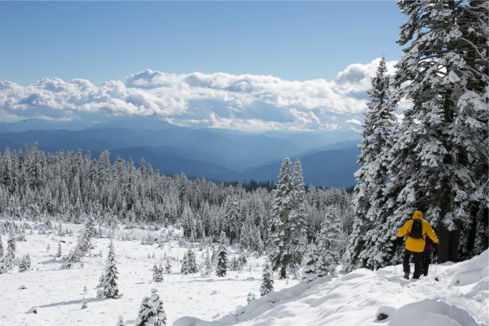 skiing, winter, snow, hills, mountains, trees, cold, sports, blue, sky, clouds, fun