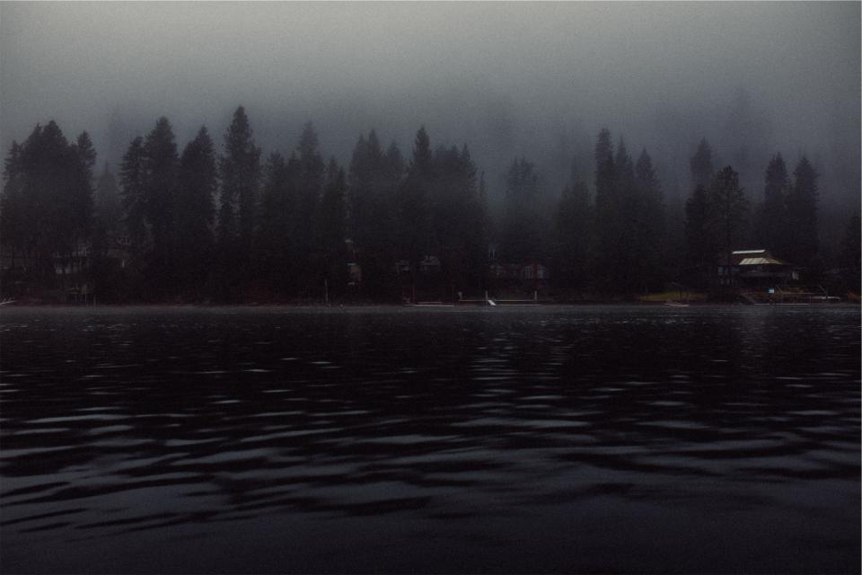 water trees lake houses fog docks 