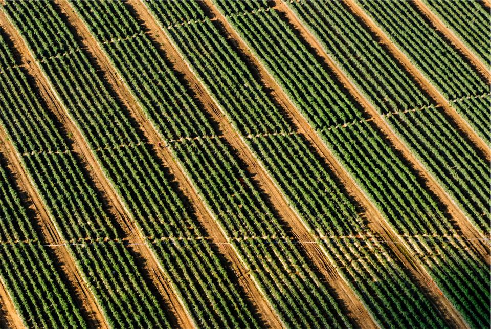 view fields farm dirt crops aerial 