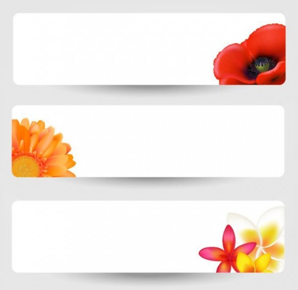 white web vector unique ui elements stylish simplistic set rounded quality original new interface illustrator high quality hi-res HD graphic fresh free download free flower banner flower floral banner EPS elements download detailed design creative banners 