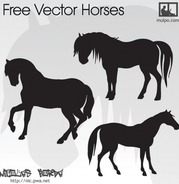 web Vectors vector graphic vector unique ultimate stallion silhouettes quality pony Photoshop pack original new modern mare illustrator illustration horse high quality fresh free vectors free download free download design creative black AI 