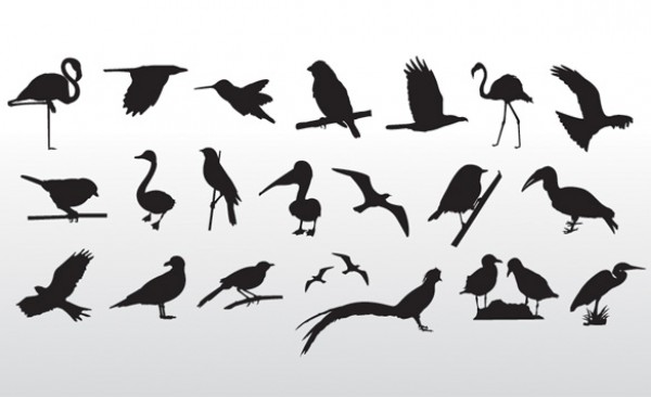 web Vectors vector graphic vector unique ultimate silhouettes quality Photoshop pack original new modern illustrator illustration high quality heron fresh free vectors free download free flying eagle download design creative crane black bird silhouettes bird AI 