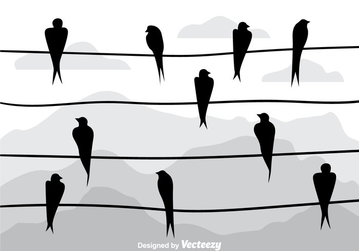 wire swallow sky silhouette line landscape group fly cable black birds on a wire background birds on a wire bird on a wire bird 