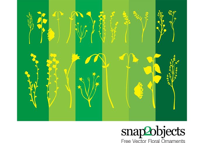 yellow web vector summer spring set print presentation plants pack nature green graphics flowers design clip art art 