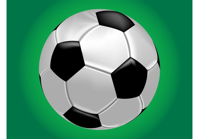 template sport soccer shadows round realistic logo leisure leather icon Hobby game equipment detailed ball 