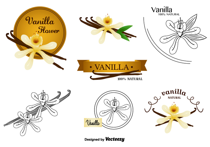 vanilla pods vanilla pod vanilla flowers vanilla flower vanilla spices Spice pod plant nature leaf Herb flowers flavour aromatic 