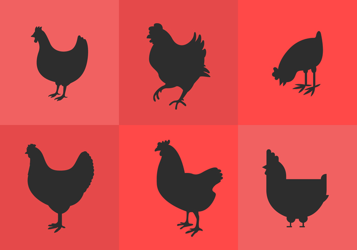 silhouette shadow roosters rooster silhouette rooster hen silhouette Hen farm animal eggs dark chicken silhouettes chicken silhouette chicken bird silhouette bird animal silhouette animal  