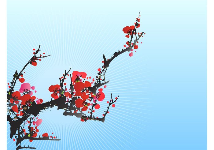 twig spring petals Japanese japan garden flowers floral decorative decoration branch blossoms bloom 