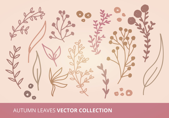 seasons season object neutral nature leaves collection leaves leaf fall leaves Fall elements collection branches autumn leaves autumn leaf autumn 