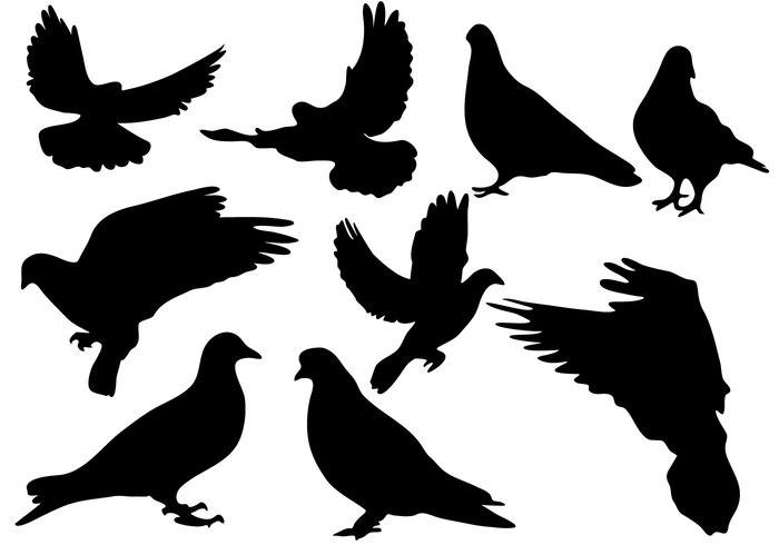 wing wildlife silhouette religious religion Purity pigeon peace nature love isolated illustration flying bird silhouette flying dove collection bird animal 