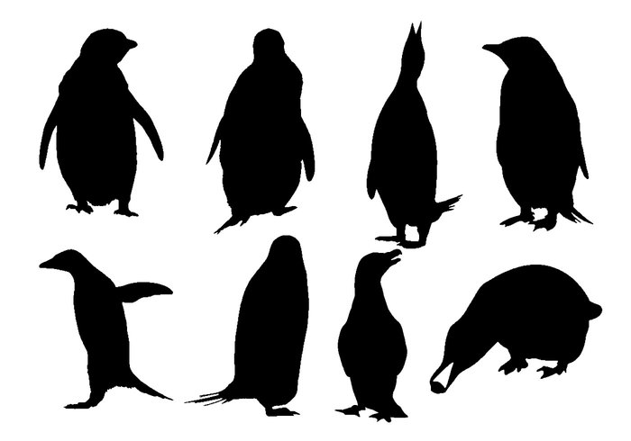 winter wildlife wild vector southern silhouette Polar penguin nature isolated illustration Hemisphere fauna cold black bird beak arctic animal 