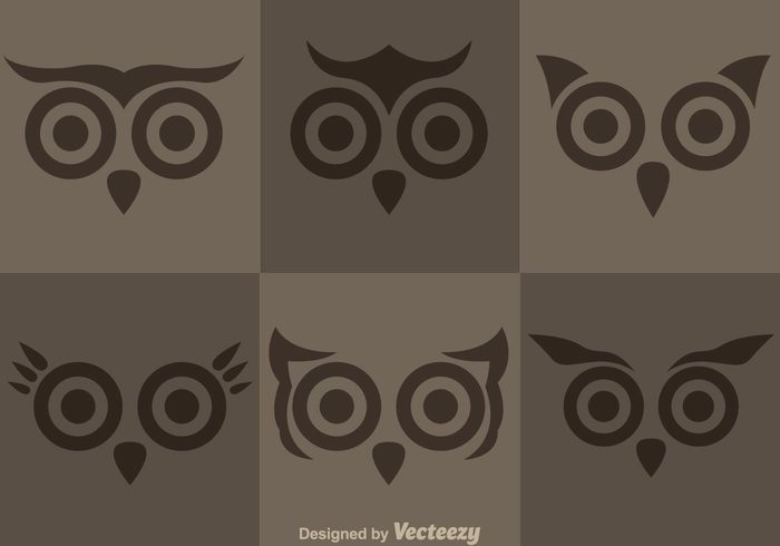 wild owls owl face owl night nature forest face eye character bird barn owls barn owl barn animal 